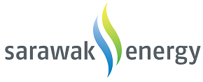Organisation logo